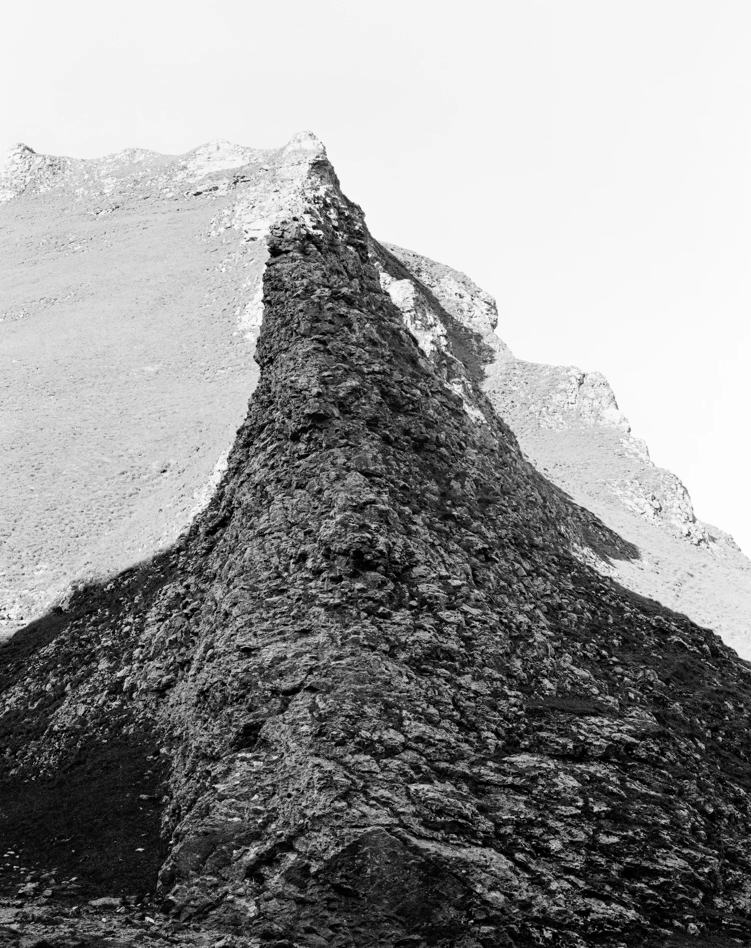 Proliferation — //